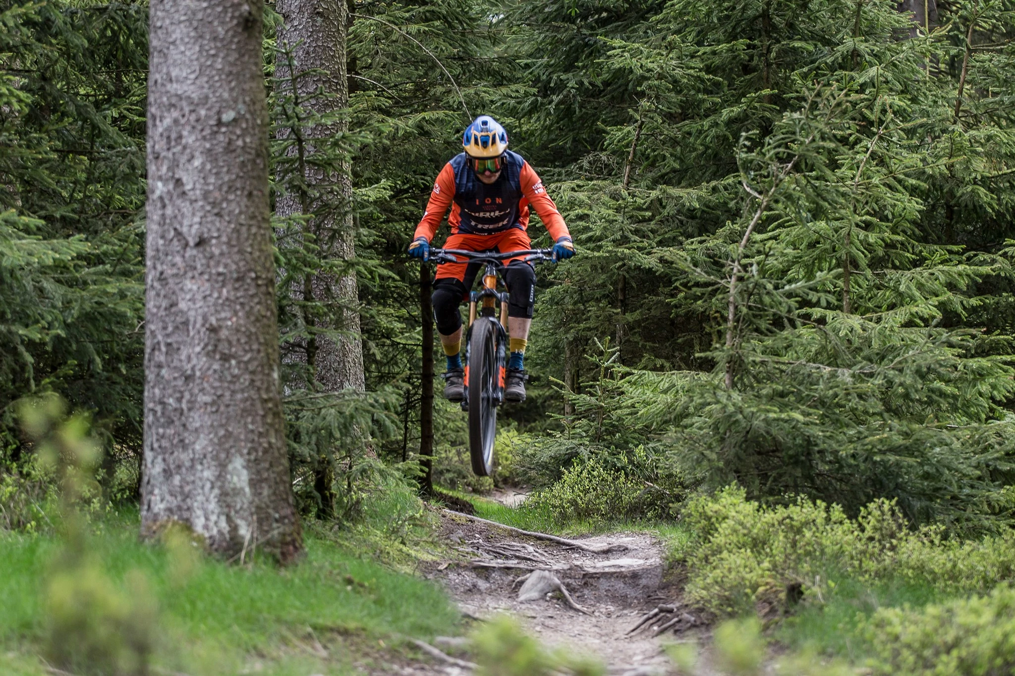 Page de garde -Vélos de Route Soldes 231255566 4514573438573654 3574798139793252379 n