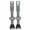 Peaty's Chris King MK2 Tubeless Valve - Gris